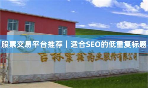 股票交易平台推荐｜适合SEO的低重复标题