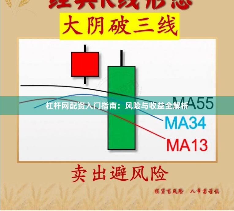 杠杆网配资入门指南：风险与收益全解析
